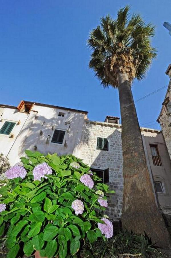 Blue Symphony Old Town Apartment Dubrovnik Bagian luar foto